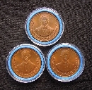 ԵҸ úͺ 100     P49904