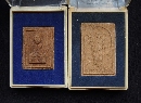 ǧ  100     P54043
