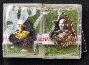 ����­�Ҵ��� ��ѧ ����³��ŧ�� ��ǧ��ͷͧ  P55464